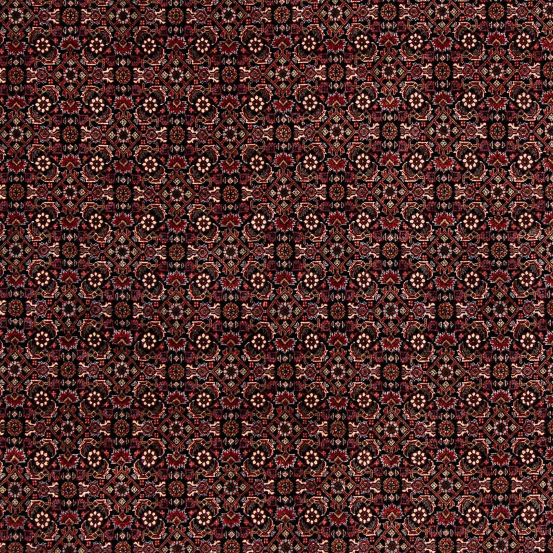 ビジャー 絨毯 248x198cm - ペルシャ絨毯