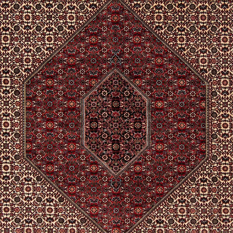 ビジャー 絨毯 262x205cm - ペルシャ絨毯