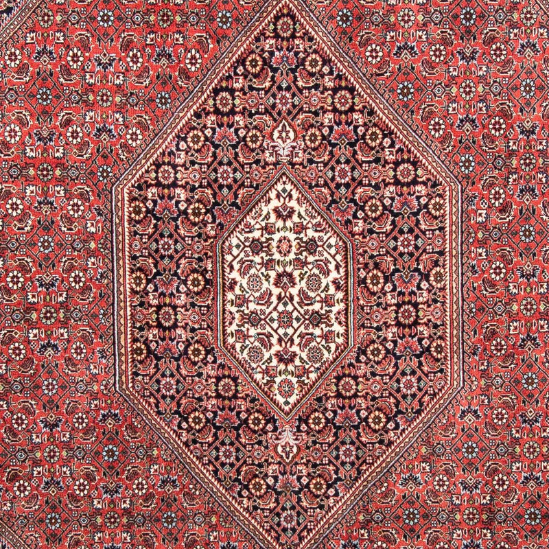 ビジャー 絨毯 235x171cm - ペルシャ絨毯