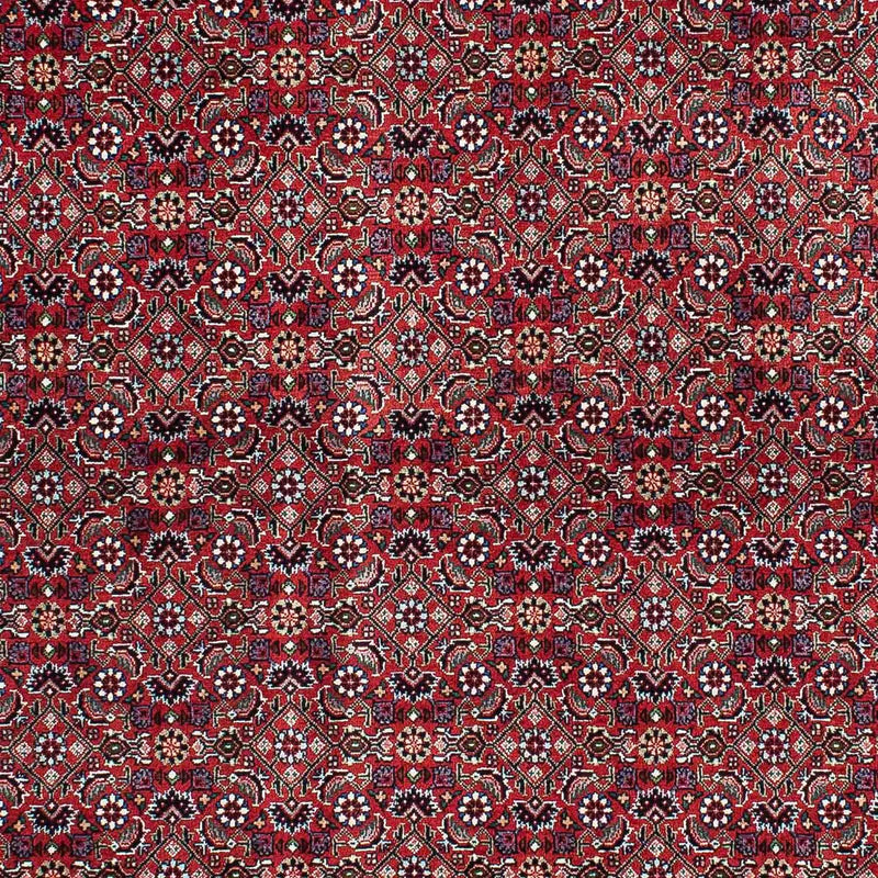 ビジャー 絨毯 214x131cm - ペルシャ絨毯
