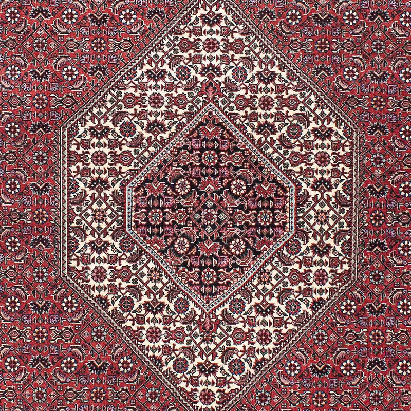 ビジャー 絨毯 200x133cm - ペルシャ絨毯