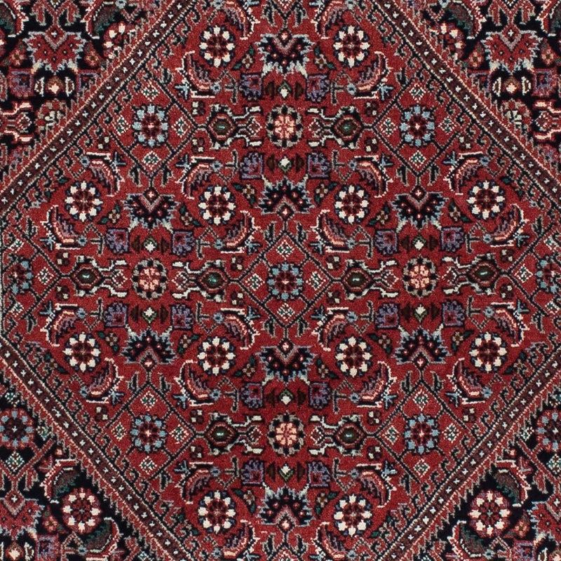 ビジャー 絨毯 217x73cm - ペルシャ絨毯