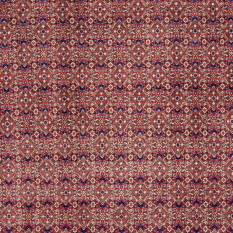 ビジャー 絨毯 292x250cm - ペルシャ絨毯