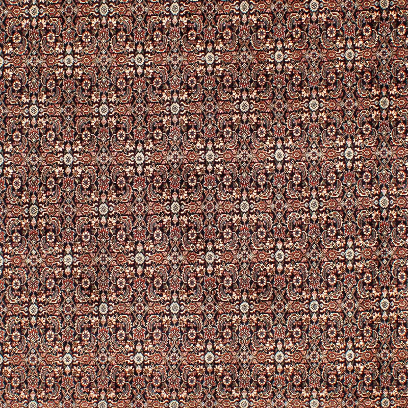 ビジャー 絨毯 300x204cm - ペルシャ絨毯
