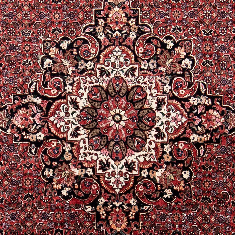 ビジャー 絨毯 230x175cm - ペルシャ絨毯