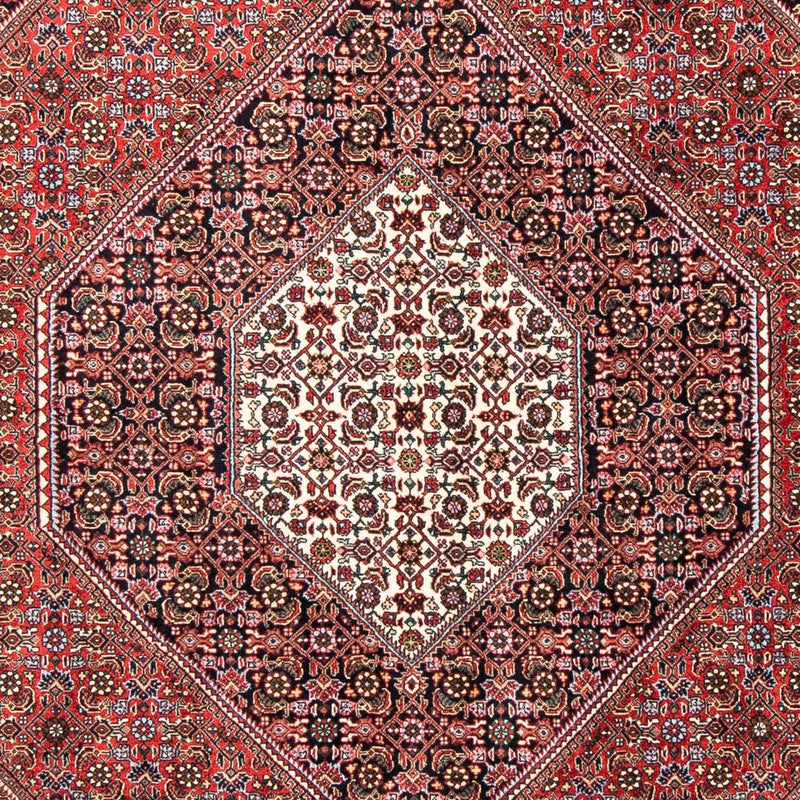 ビジャー 絨毯 234x168cm - ペルシャ絨毯