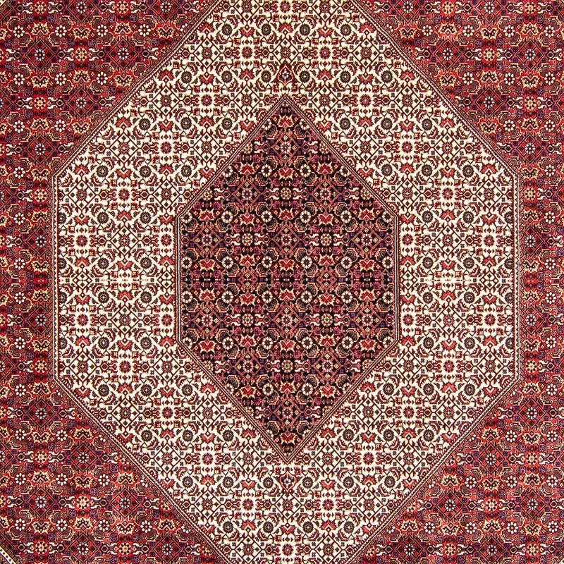 ビジャー 絨毯 360x250cm - ペルシャ絨毯