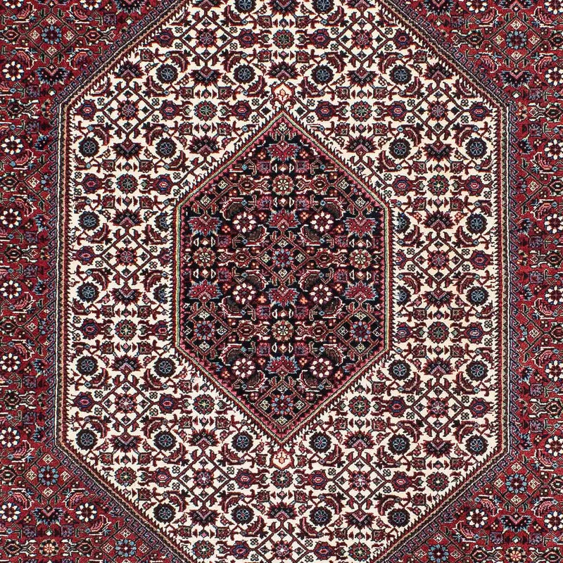 ビジャー 絨毯 209x140cm - ペルシャ絨毯