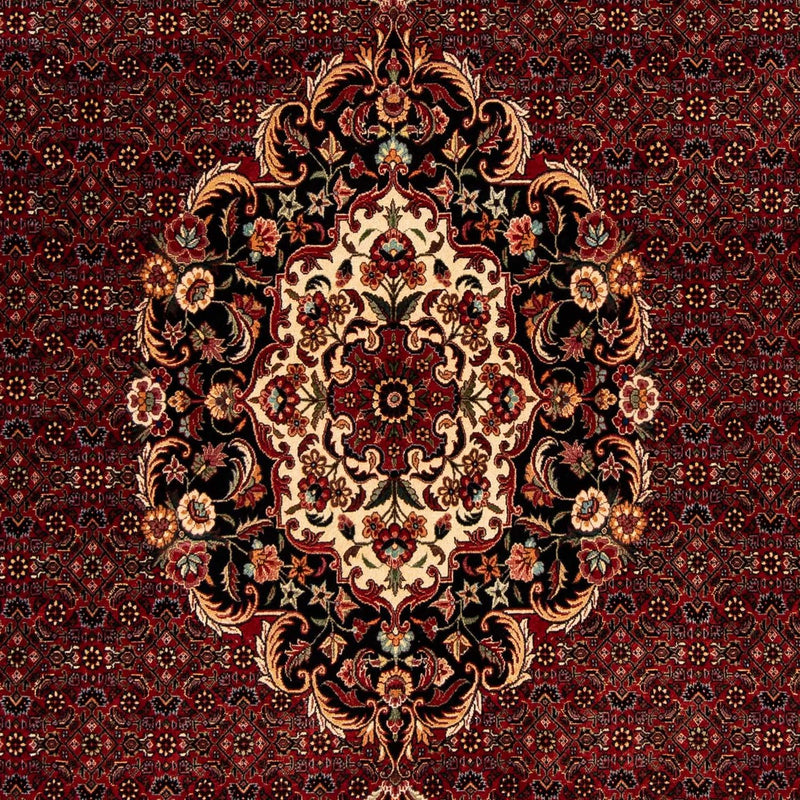 ビジャー 絨毯 257x203cm - ペルシャ絨毯