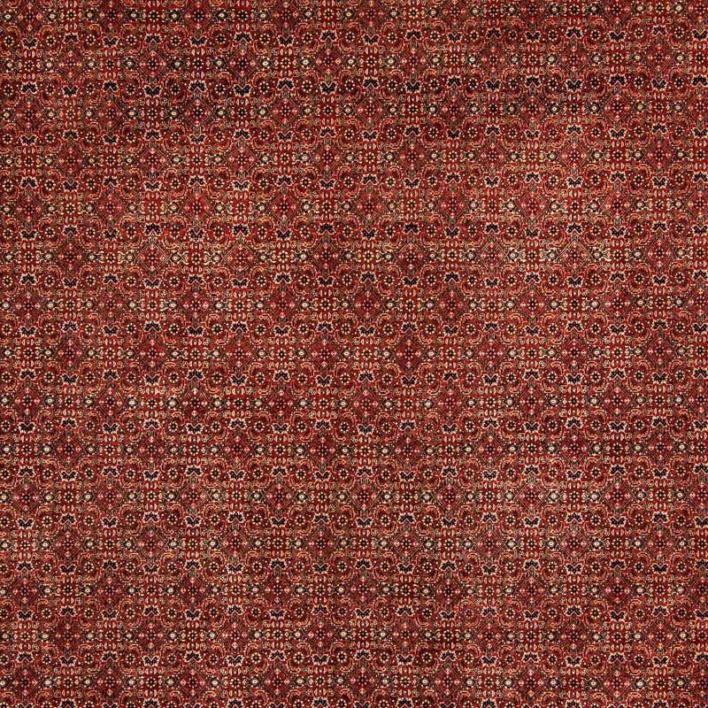 ビジャー 絨毯 384x300cm - ペルシャ絨毯