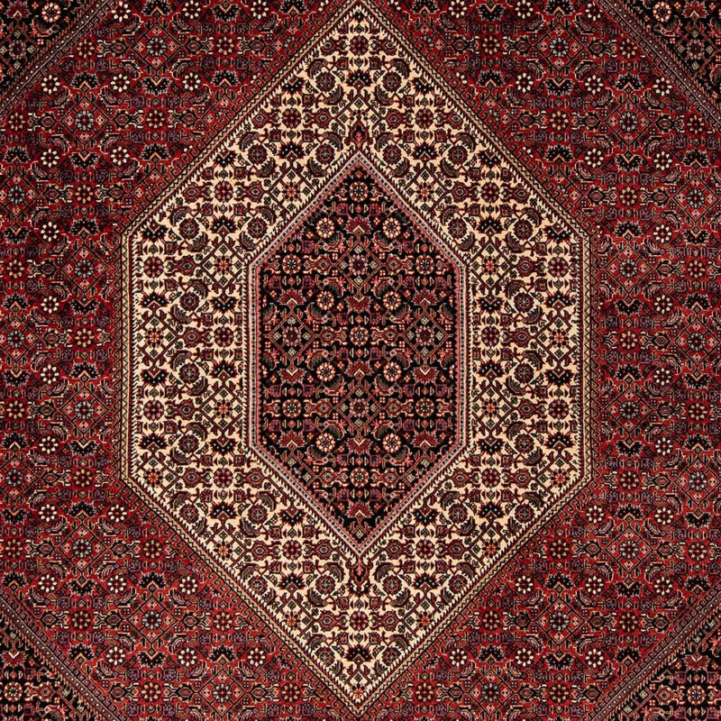 ビジャー 絨毯 251x202cm - ペルシャ絨毯