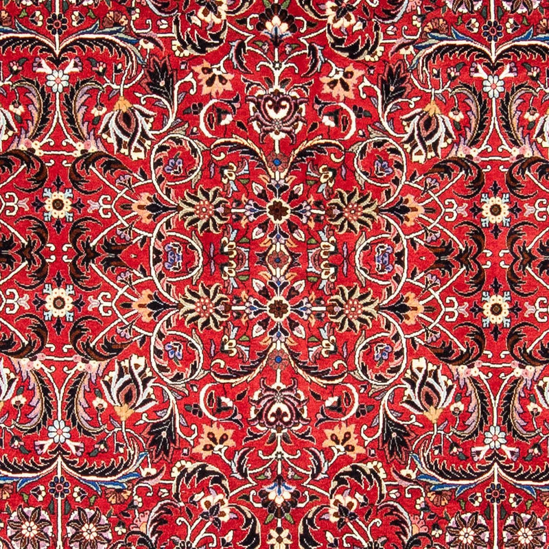 ビジャー 絨毯 242x175cm - ペルシャ絨毯
