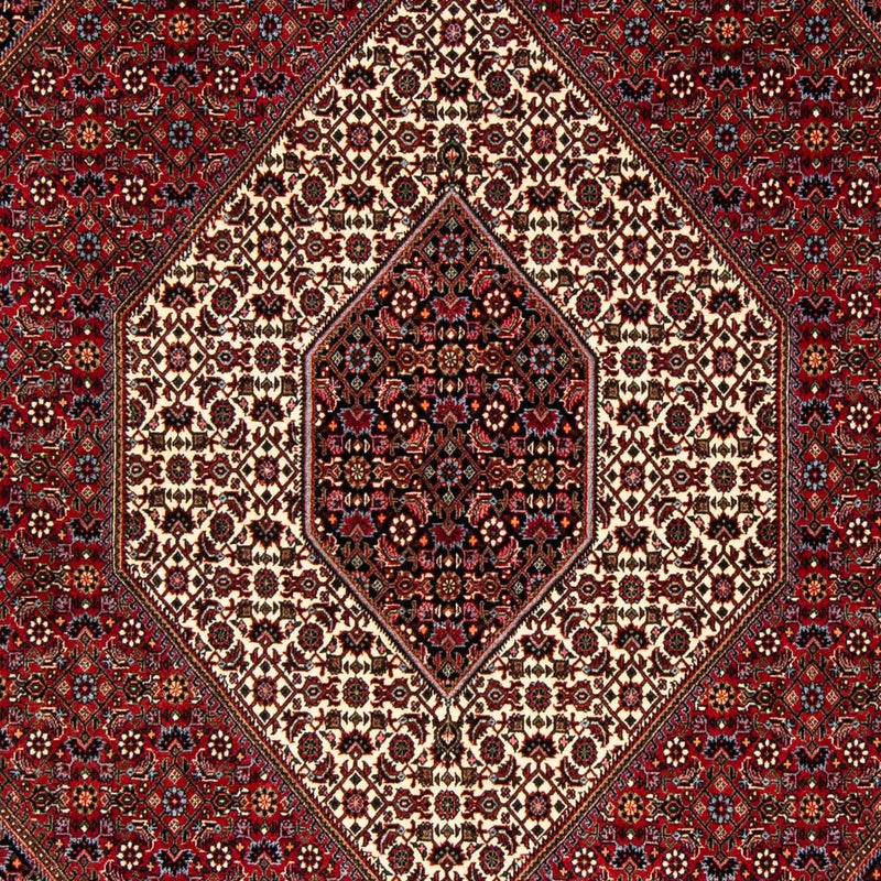 ビジャー 絨毯 251x176cm - ペルシャ絨毯
