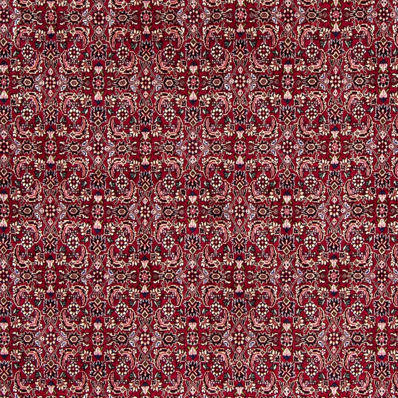ビジャー 絨毯 245x174cm - ペルシャ絨毯