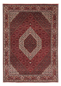 ビジャー 絨毯 240x172cm - ペルシャ絨毯 – product image