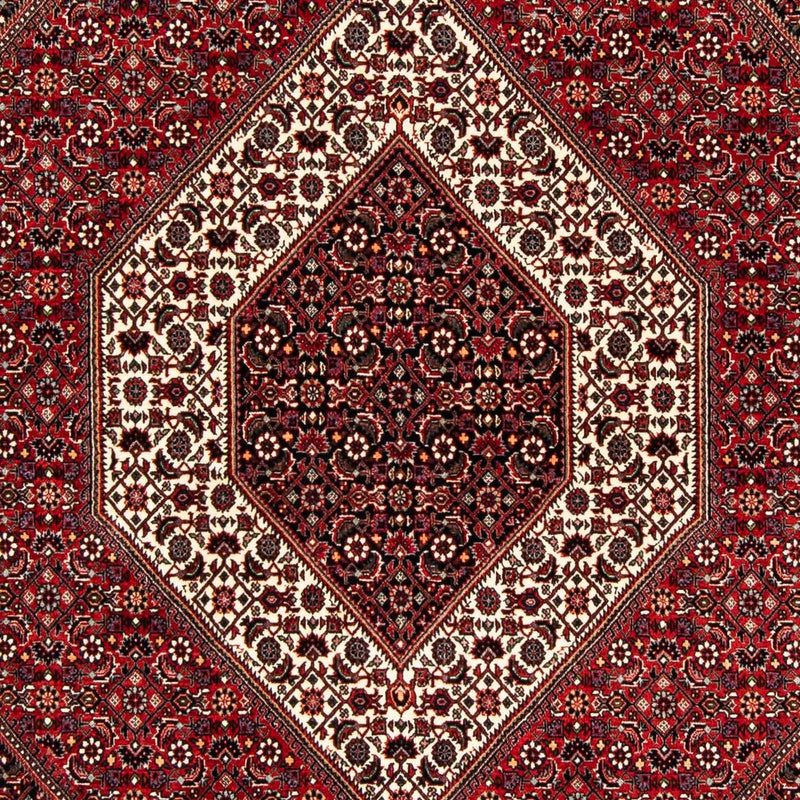 ビジャー 絨毯 240x172cm - ペルシャ絨毯