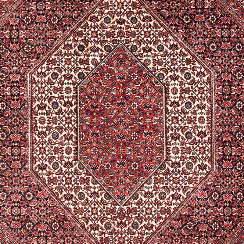 ビジャー 絨毯 242x168cm - ペルシャ絨毯