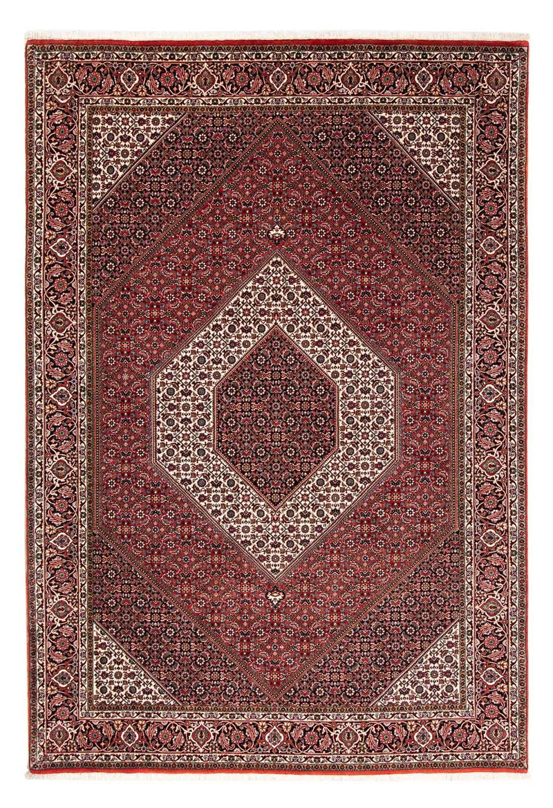 ビジャー 絨毯 249x174cm - ペルシャ絨毯