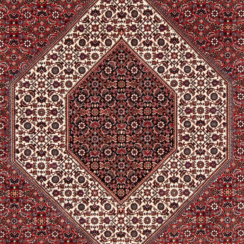 ビジャー 絨毯 249x174cm - ペルシャ絨毯