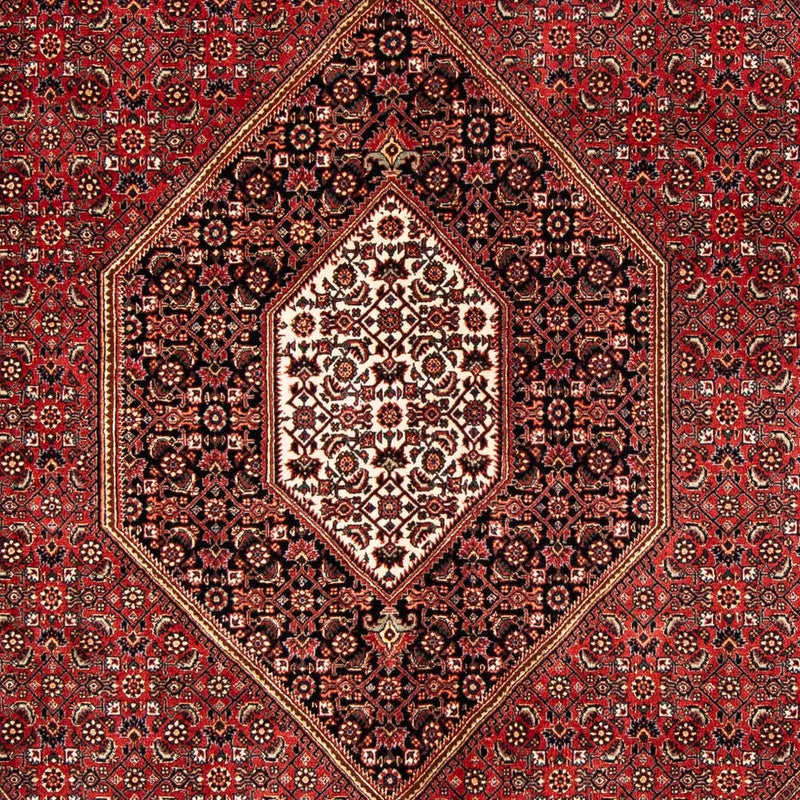 ビジャー 絨毯 240x171cm - ペルシャ絨毯