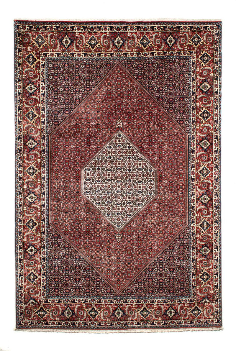 ビジャー 絨毯 301x208cm - ペルシャ絨毯