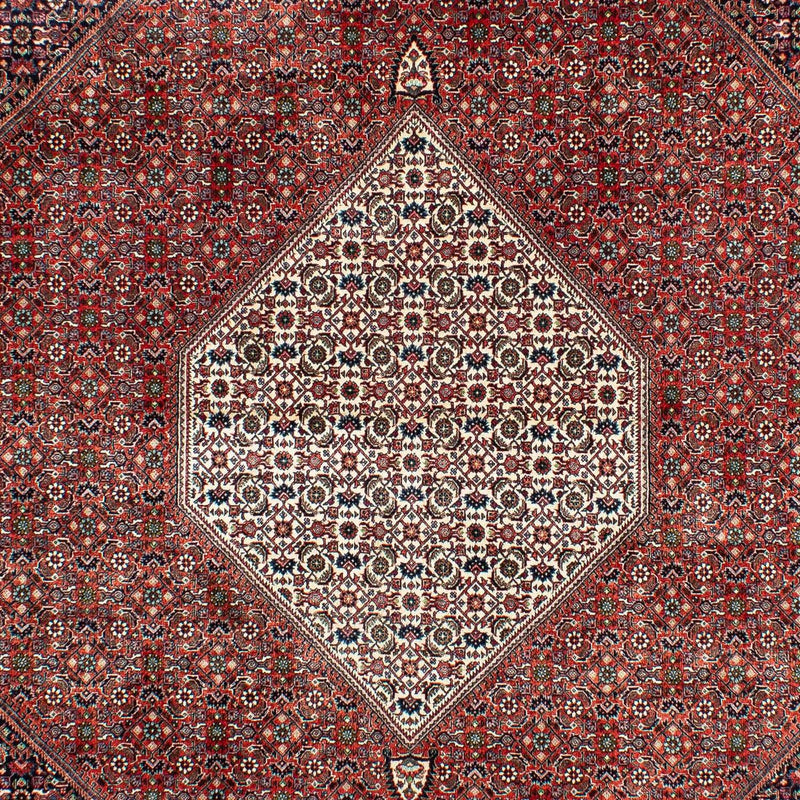 ビジャー 絨毯 301x208cm - ペルシャ絨毯