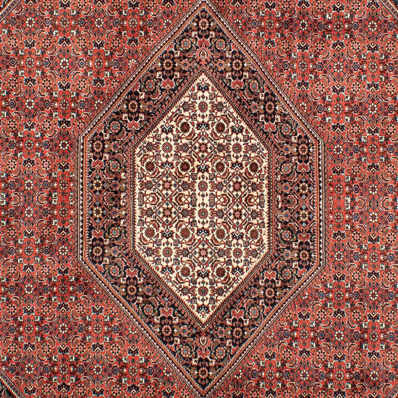 ビジャー 絨毯 300x203cm - ペルシャ絨毯