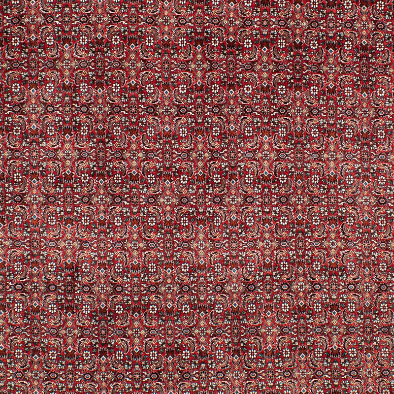 ビジャー 絨毯 309x209cm - ペルシャ絨毯