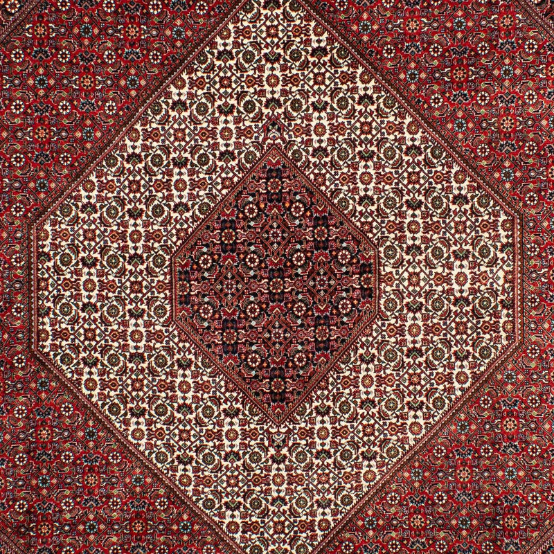 ビジャー 絨毯 300x203cm - ペルシャ絨毯