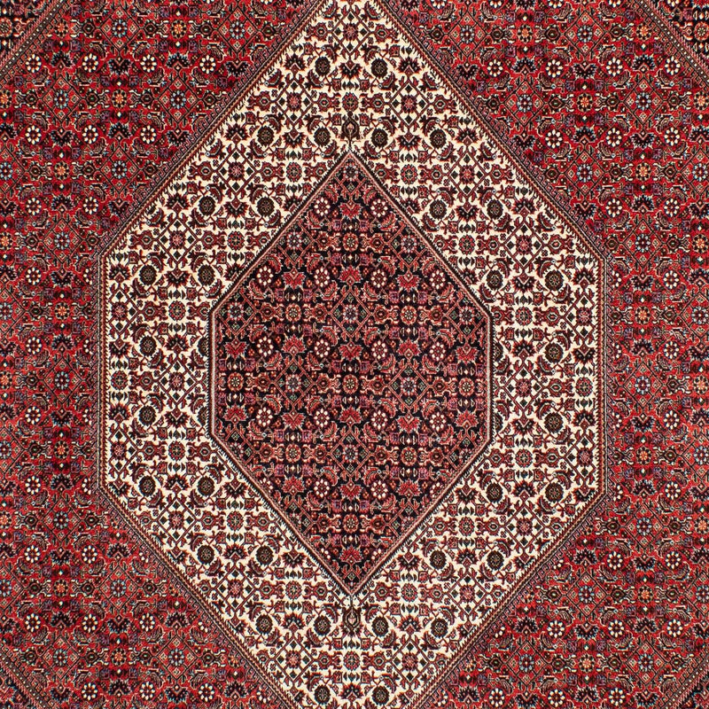ビジャー 絨毯 305x203cm - ペルシャ絨毯