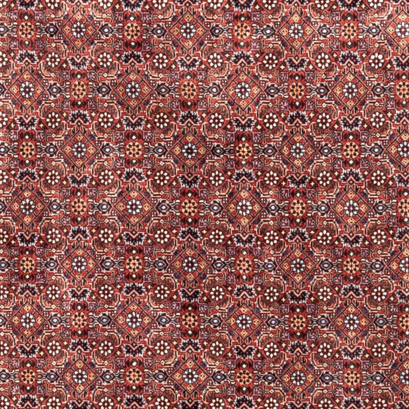 ビジャー - タカブ 絨毯 306x204cm - ペルシャ絨毯