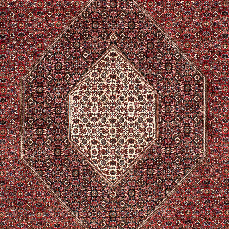 ビジャー 絨毯 309x208cm - ペルシャ絨毯