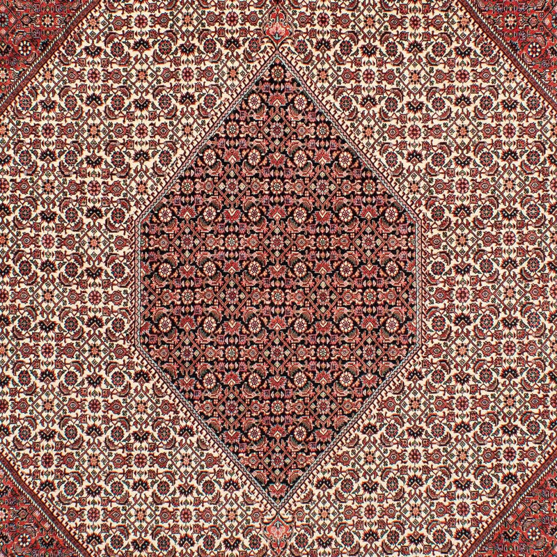 ビジャー 絨毯 289x204cm - ペルシャ絨毯