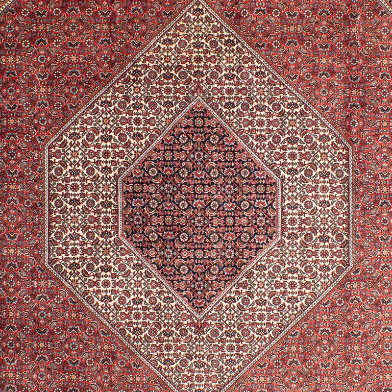 ビジャー 絨毯 311x205cm - ペルシャ絨毯