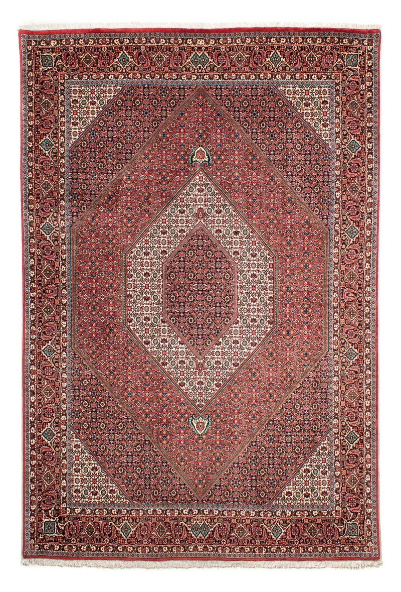 ビジャー 絨毯 288x207cm - ペルシャ絨毯