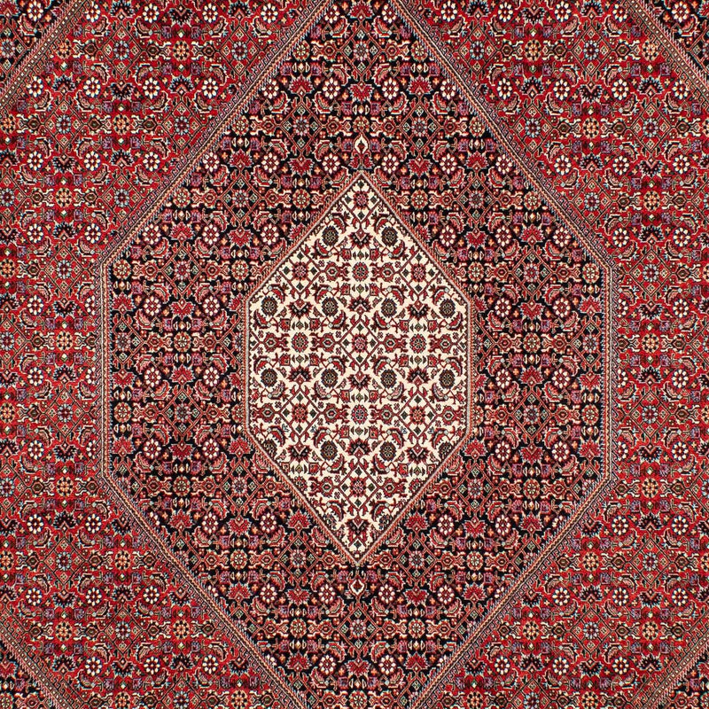 ビジャー 絨毯 307x205cm - ペルシャ絨毯