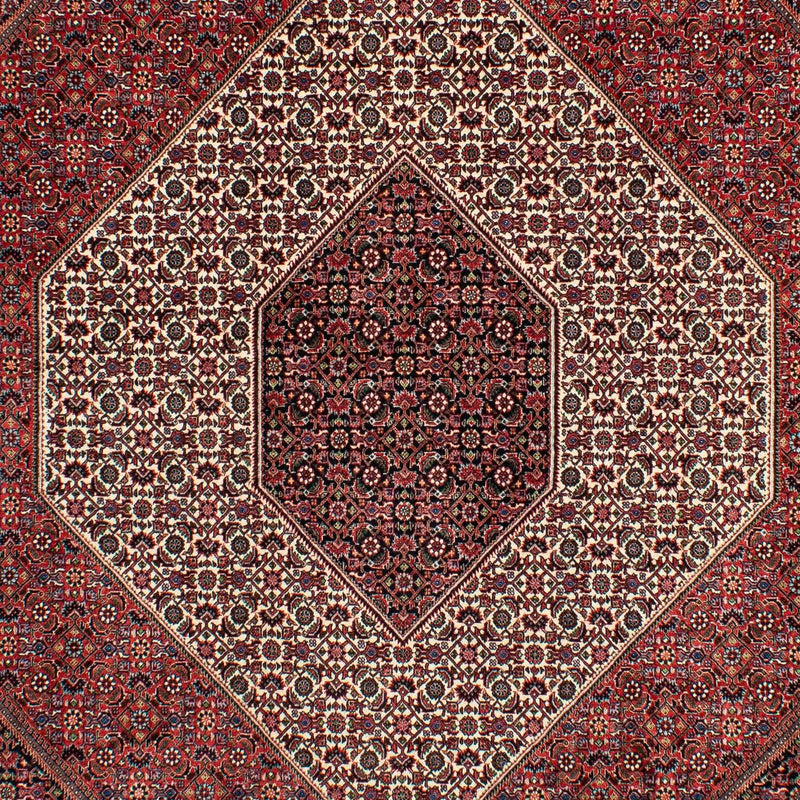 ビジャー 絨毯 300x206cm - ペルシャ絨毯