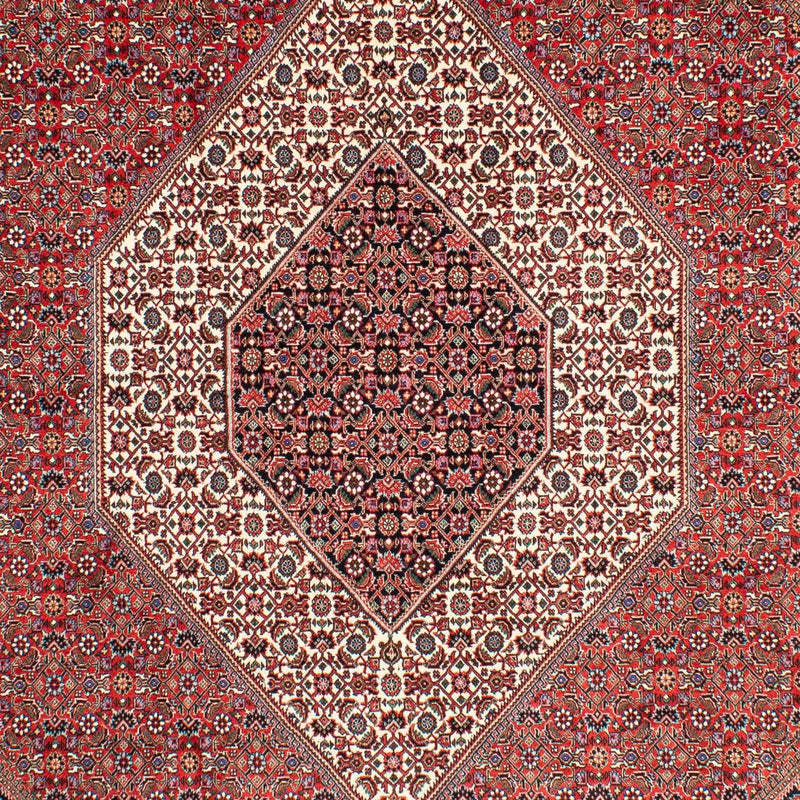ビジャー 絨毯 300x203cm - ペルシャ絨毯
