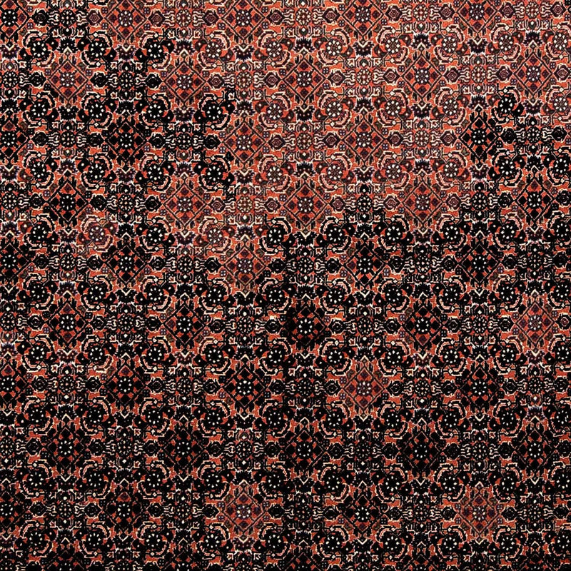 ビジャー 絨毯 250x173cm - ペルシャ絨毯