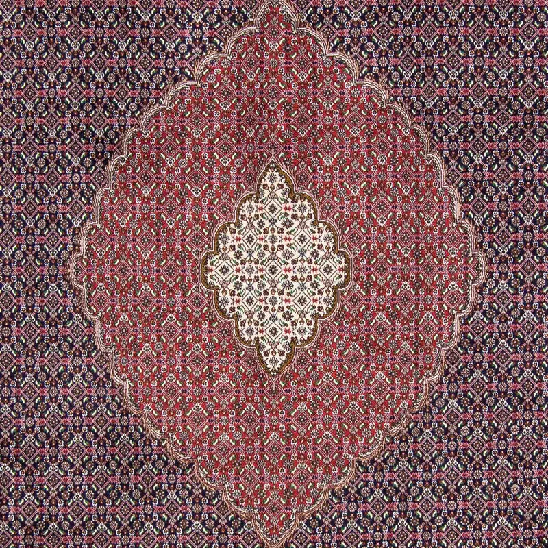 タブリーズ 絨毯 360x252cm - ペルシャ絨毯