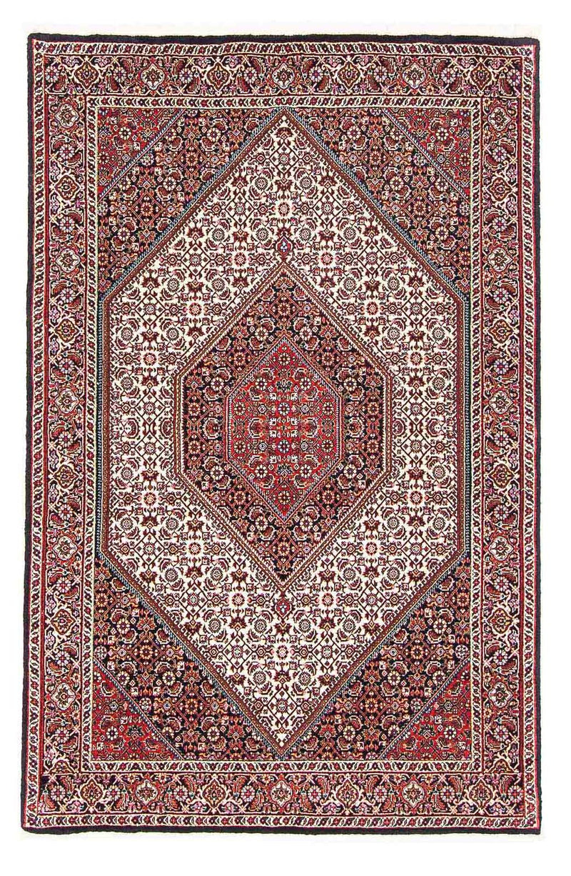 ビジャー 絨毯 170x112cm - ペルシャ絨毯