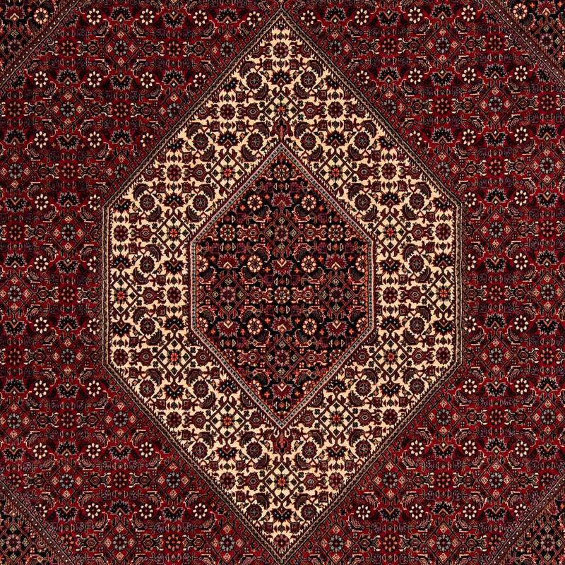 ビジャー 絨毯 247x202cm - ペルシャ絨毯