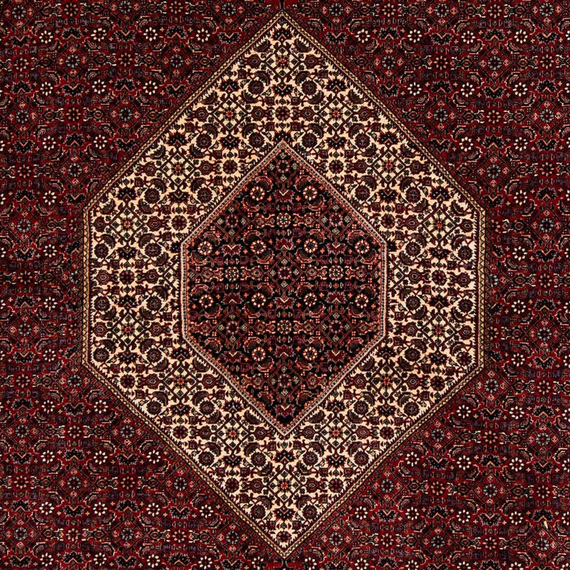 ビジャー 絨毯 257x204cm - ペルシャ絨毯