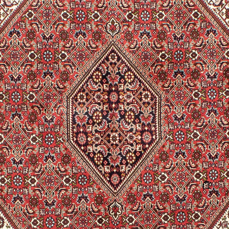 ビジャー 絨毯 245x172cm - ペルシャ絨毯