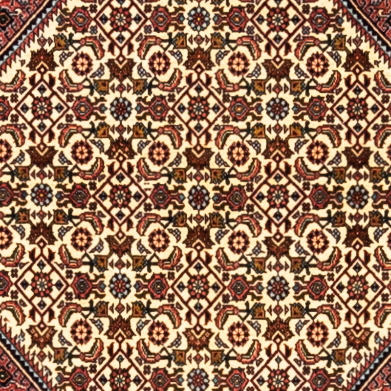 ビジャー - タカブ 絨毯 291x200cm - ペルシャ絨毯