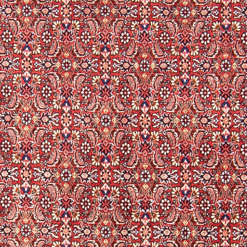 ビジャー 絨毯 307x248cm - ペルシャ絨毯