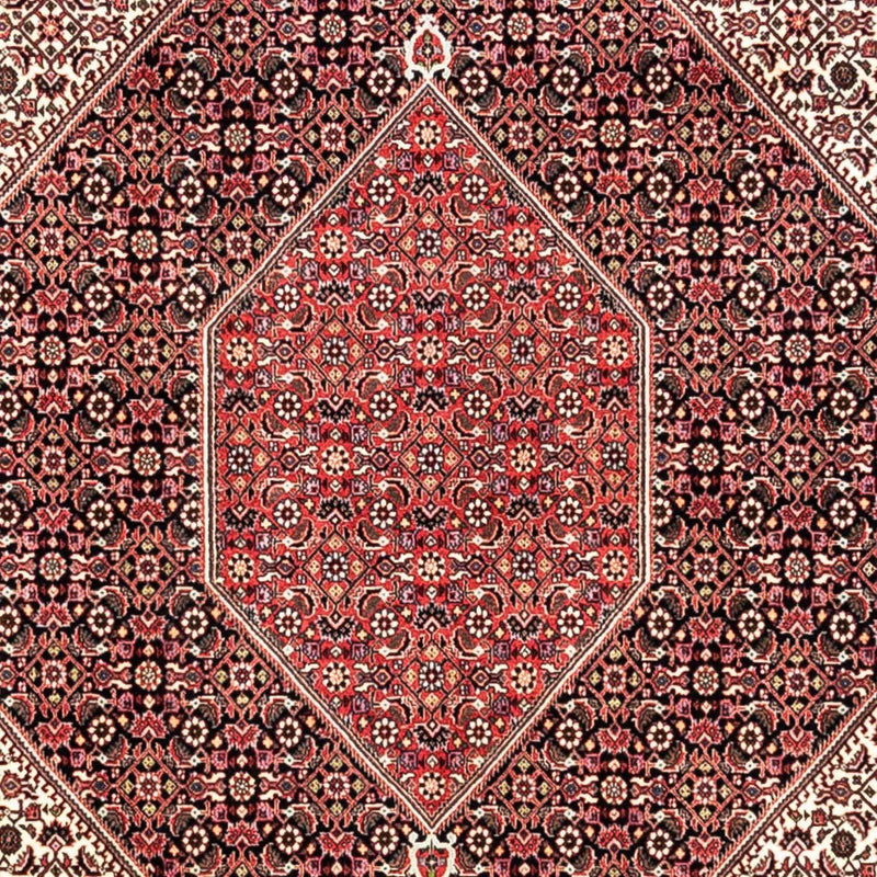 ビジャー - タカブ 絨毯 349x252cm - ペルシャ絨毯