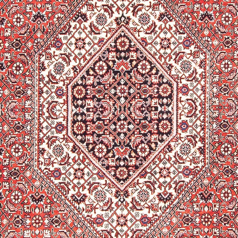 ビジャー 絨毯 176x112cm - ペルシャ絨毯