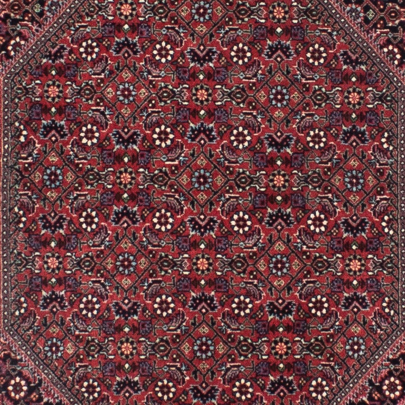 ビジャー 絨毯 313x84cm - ペルシャ絨毯