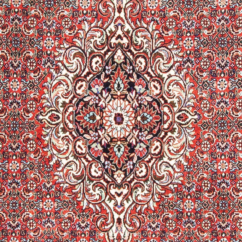 ビジャー 絨毯 169x112cm - ペルシャ絨毯